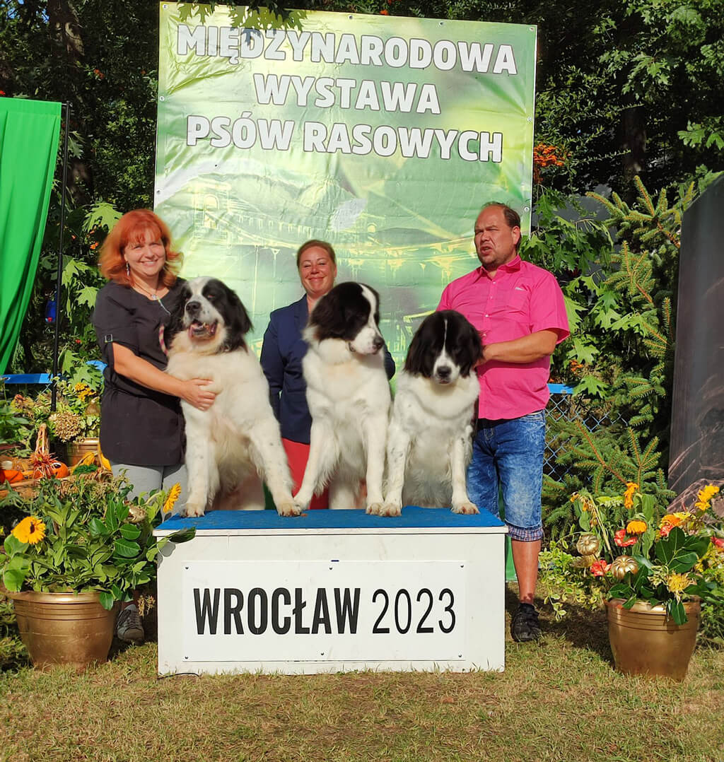Medzinárodná výstava psov Wroclaw, Poľsko 23.-24.9.2023 aj s úspešnou účasťou členov Landseer klubu